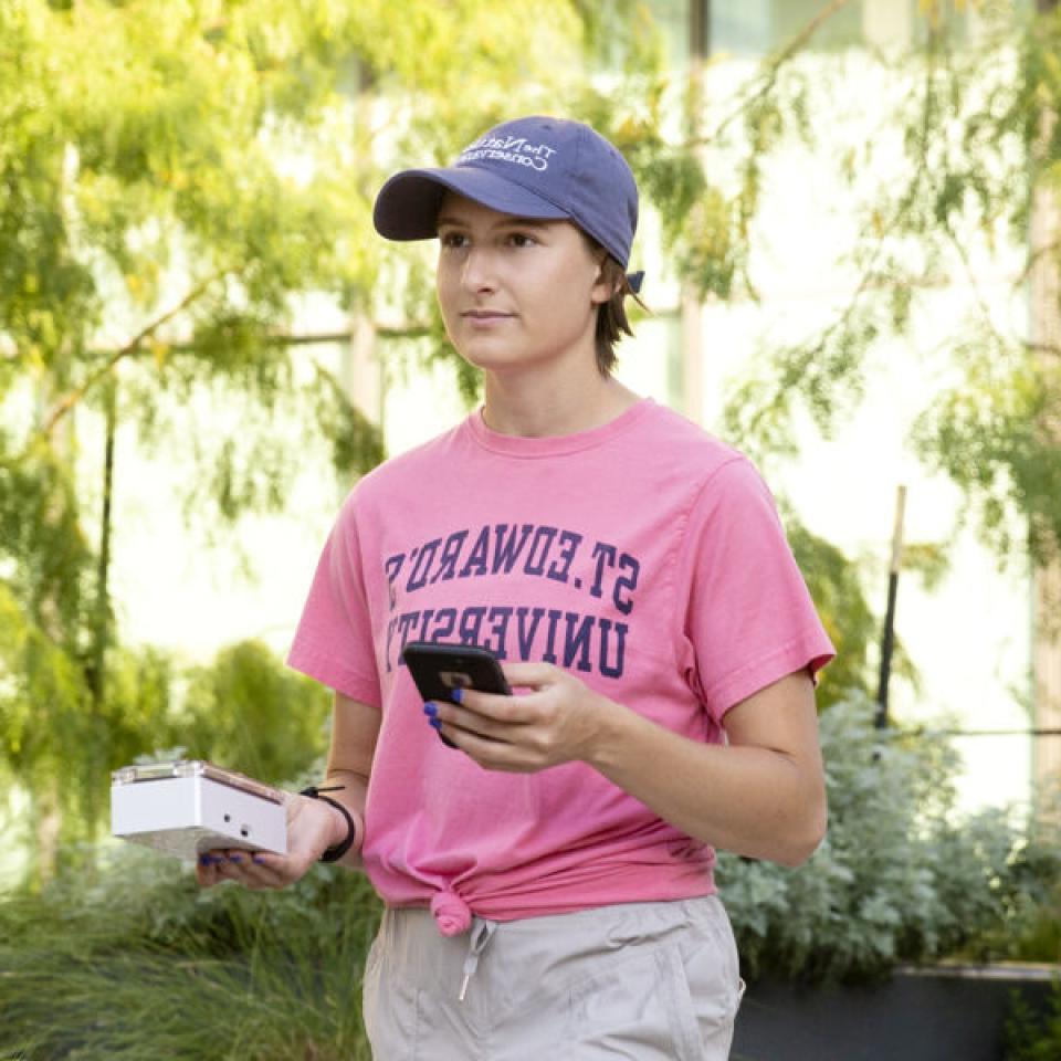 This image shows a woman with short brown hair, wearing a blue cap and a pink T-shirt with "St. 365比分网电竞" printed on it. She is holding a smartphone in one hand and a small white device in the other. The woman is outdoors in a lush, green area with trees and plants around her. The background features a building with large windows, suggesting an urban or campus setting. The woman appears focused and engaged, likely involved in some fieldwork or data collection activity.