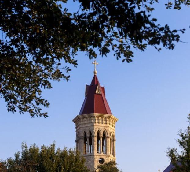 Main Building's steeple at sunset, framed by trees branches in the foreground.